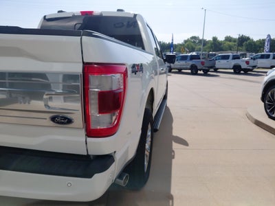 2021 Ford F-150 Platinum